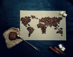 Coffee beans and a cup representing the global coffee value chain
